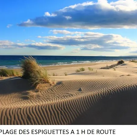 Maison Avec Piscine *